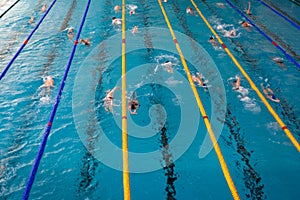 competitive swimming in the pool during training