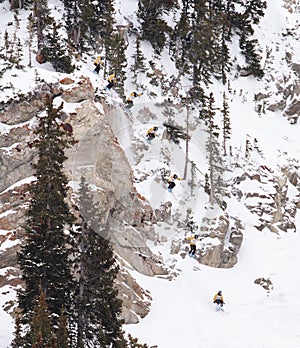 Competitor Sequence International Free Skiing Competition 5