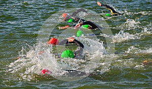 Competitors swimming in at the end of the swimming stage at Triathlon.