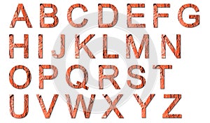 Complete alphabet with red toned pine bark in background