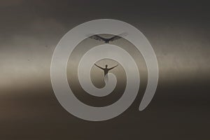 Complete balance between man and nature