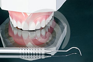 Complete denture or full denture.
