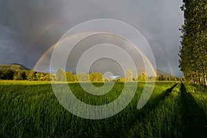 Complete Double Rainbow photo
