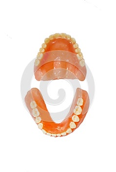 Complete full dentures isolated on white background