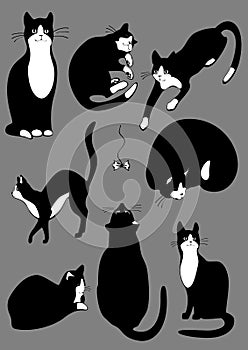 Complete set of cats