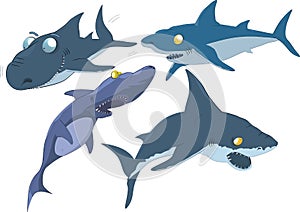 The complete set of sharks