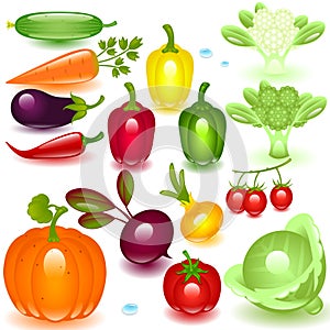 Complete set vegetable