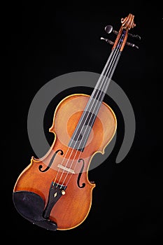Complete Violin Viola Isolated on Black