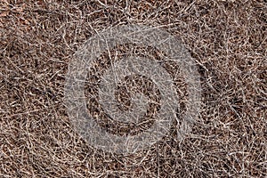 Completely dried out soil of Ponta do Rosto Madeira. photo