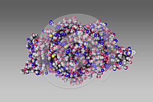 Complex of the catalytic portion of human HMG-CoA reductase with HMG and CoA. Space-filling molecular model photo