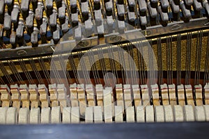 Complex Hidden Mechanics Inside A Piano. Piano Strings.