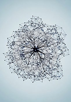 Complex network structure resembling a neural