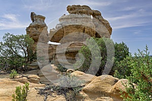 Complex Petroglyph Arch in Pilares Canyon New Mexico