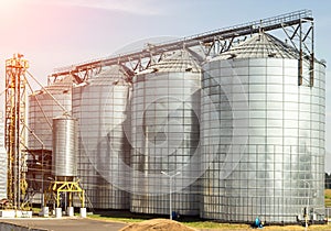 Complex for storage of oilseed and other grains, agribusiness, farming