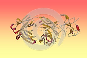 Complex structure of human monoclonal antibody with SARS-CoV-2 nucleocapsid protein NTD. Ribbons diagram in secondary