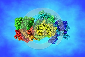 Complex structure of human monoclonal antibody with SARS-CoV-2 nucleocapsid protein NTD. Rendering based on protein data photo