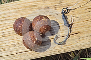 Complex-T Boilies with fishing hook. Fishing rig for carps, boilie rig, near the lake on a piece of wood