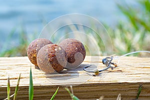 Complex-T Boilies with fishing hook. Fishing rig for carps, boilie rig, near the lake on a piece of wood photo