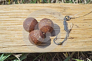 Complex-T Boilies with fishing hook. Fishing rig for carps, boilie rig, near the lake on a piece of wood photo