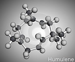 It is component of the essential oil from flowering cone of hops plant, Humulus lupulus. Molecular model. 3D rendering