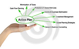components of Action Plan