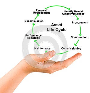 Asset life cycle