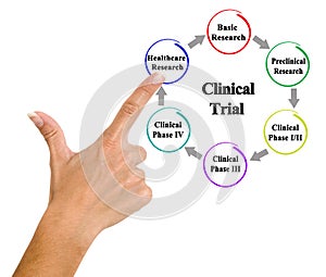 Components of Clinical trail