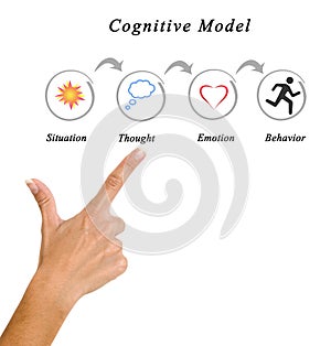 Components of Cognitive Model