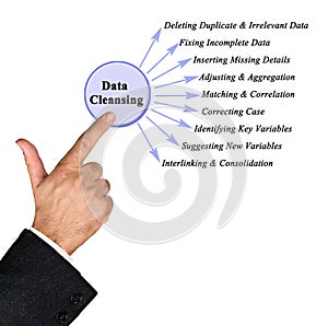 Components of Data Cleansing