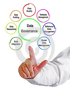 Components of Data Governance