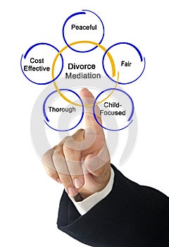 Components of Divorce Mediation