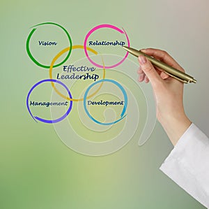 Components of Effective Leadership