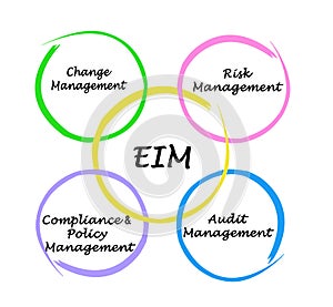 Components of EIM Audit