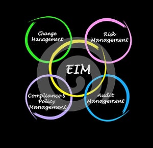 Components of EIM Audit