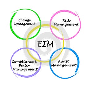 Components of EIM Audit photo