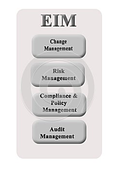 Components of EIM Audit
