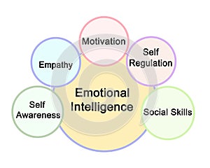Components of Emotional Intelligence