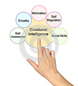 Components of Emotional Intelligence