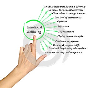 Components of Emotional Wellbeing