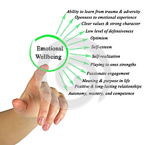 Components of Emotional Wellbeing