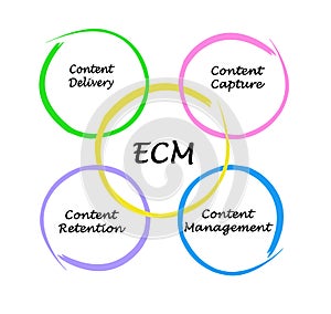 Components of Enterprise content management