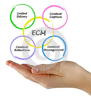 Enterprise content management