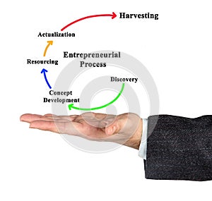 Components of Entrepreneurial Process