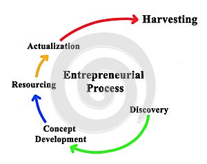 Components of Entrepreneurial Process