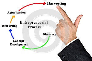 Components of Entrepreneurial Process