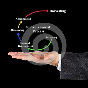 Components of Entrepreneurial Process