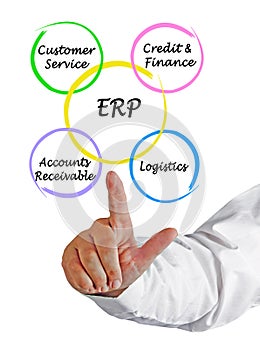 Components of ERP photo