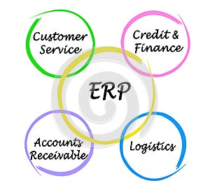 Components of ERP photo