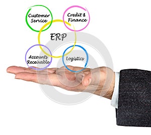 Components of ERP photo