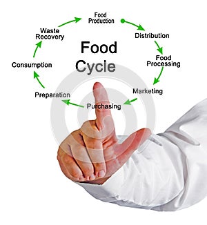 components of Food System